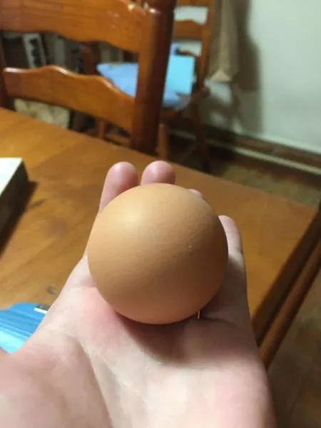 The perfect foods - #33 