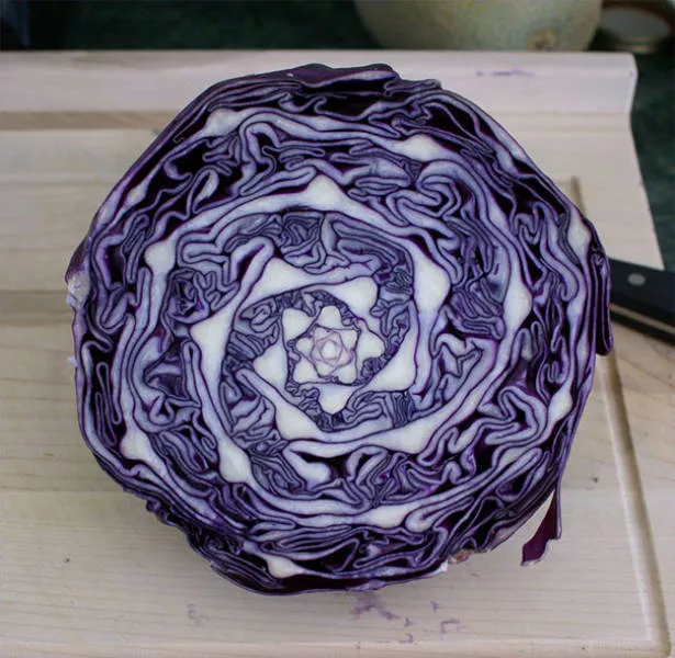 The perfect foods - #46 