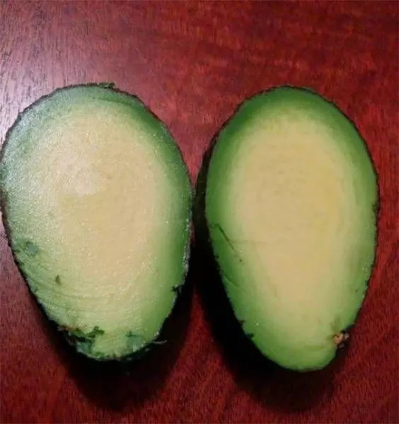 The perfect foods - #47 