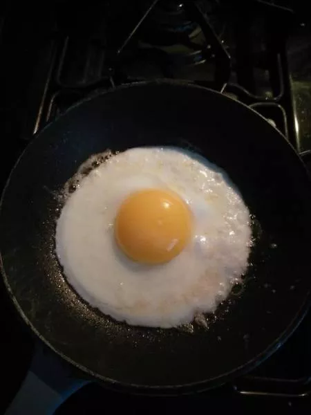 The perfect foods - #5 