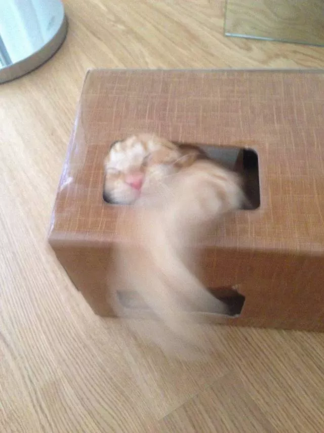 Picdump 234 - #14 