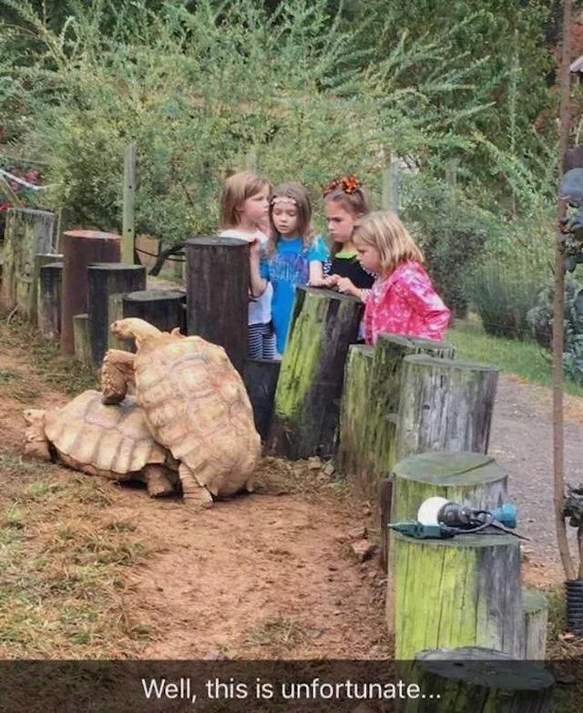 Picdump 234 - #28 