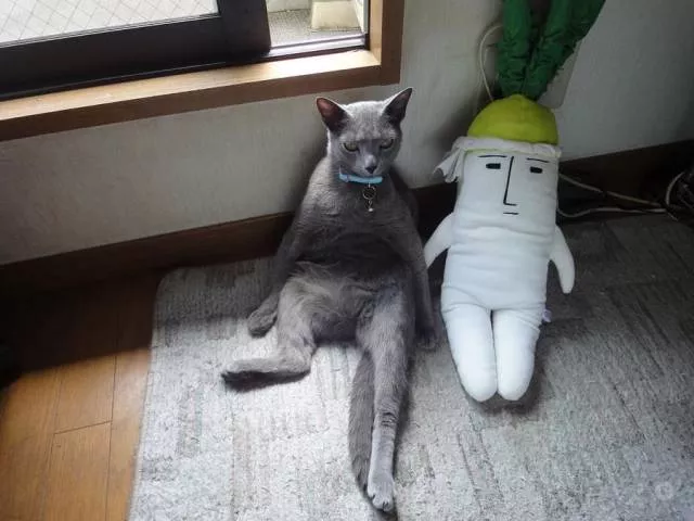 Picdump 234 - #55 