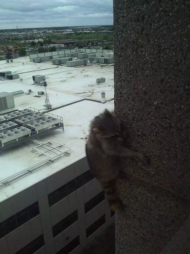 Picdump 234 - #59 