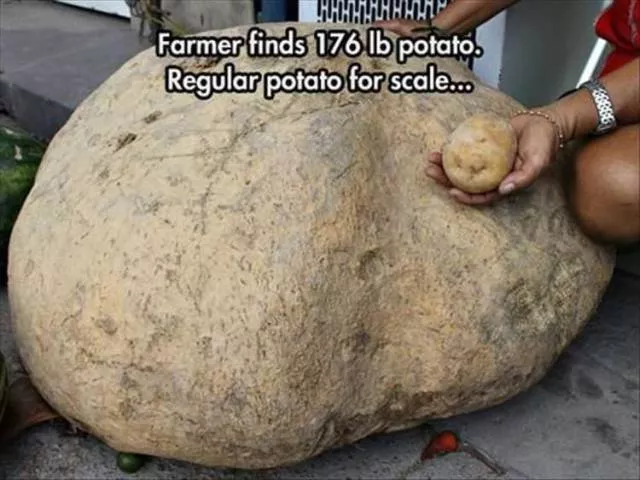 Picdump 234 - #66 Picdump 234 - #66