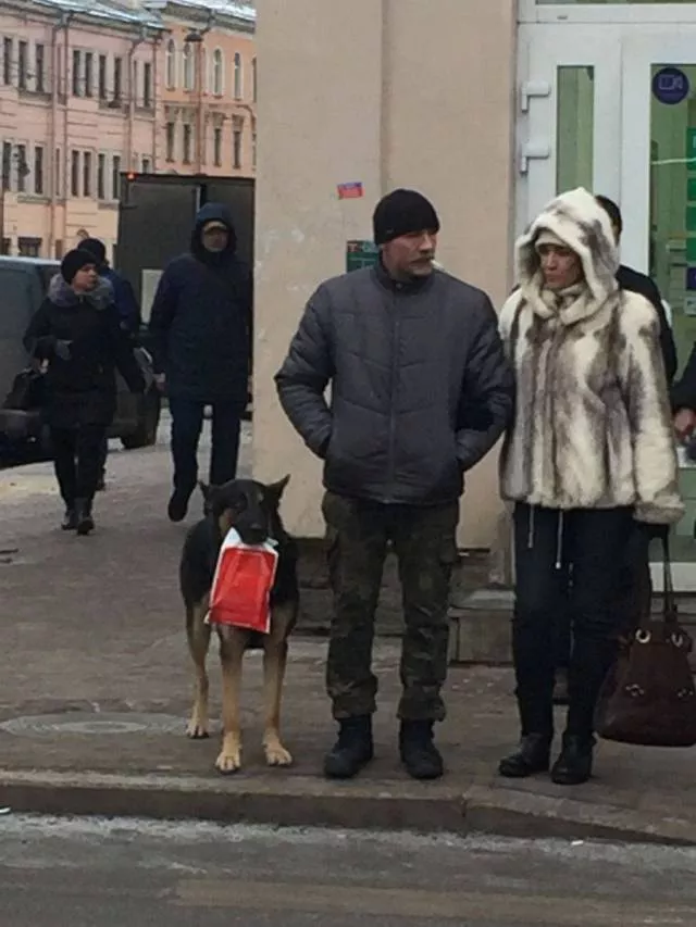 Picdump 234 - #69 Picdump 234 - #69