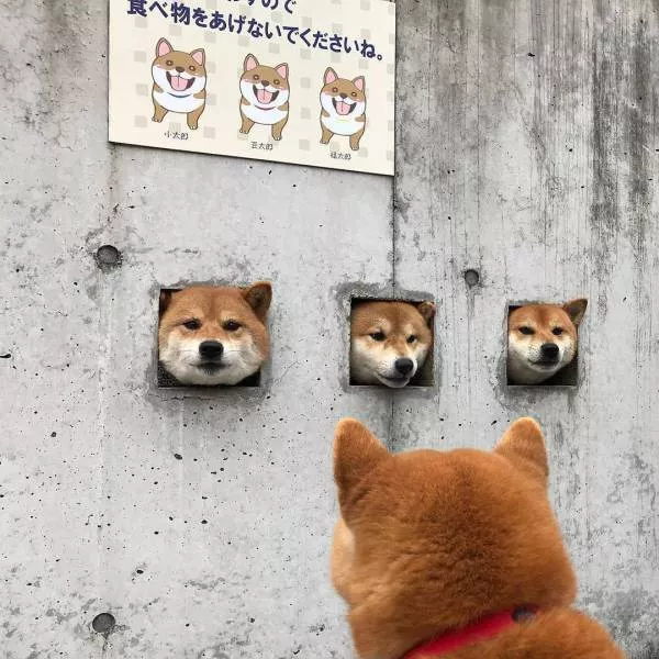 Picdump 234 - #83 