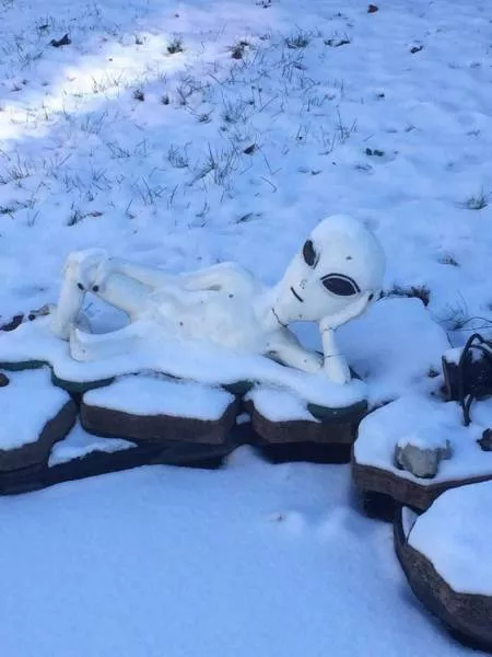 Wtf compilation pictures - #12 