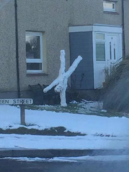 Wtf compilation pictures - #2 