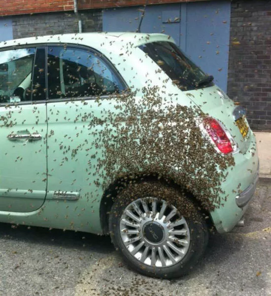 Wtf compilation pictures - #45 
