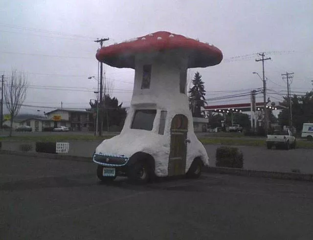 Wtf compilation pictures - #54 
