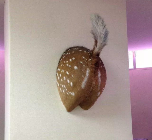 Wtf compilation pictures - #61 