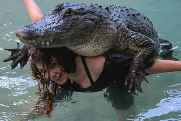The best wtf compilation - #4 The best wtf compilation - #4