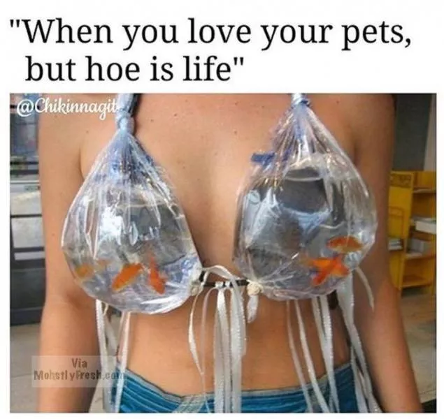 Picdump 237 - #9 
