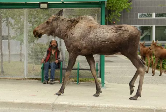 Picdump 238 - #26 