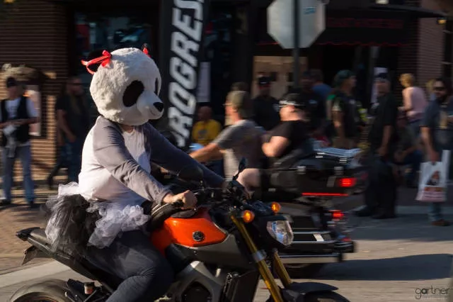 Picdump 238 - #37 