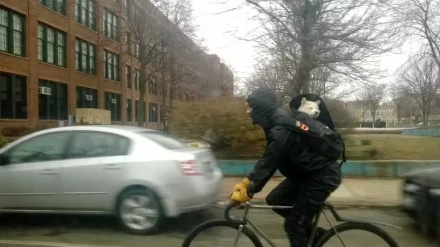 Picdump 238 - #45 