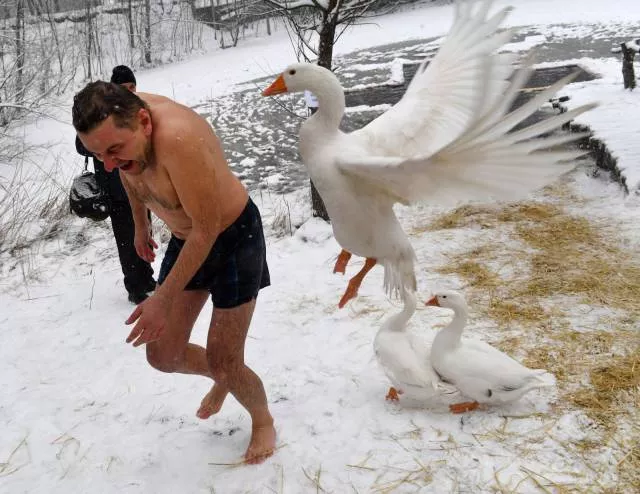 Picdump 239 - #13 