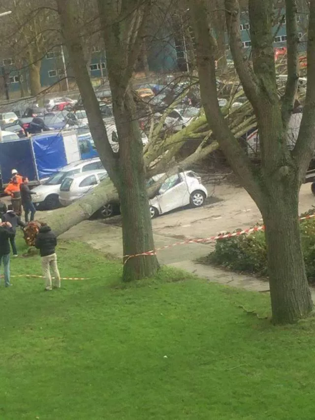 Picdump 239 - #16 