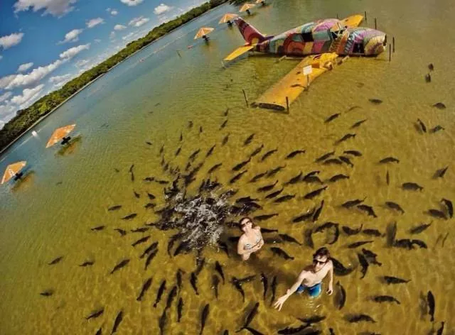 Picdump 239 - #50 