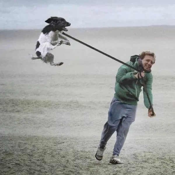 Picdump 239 - #60 