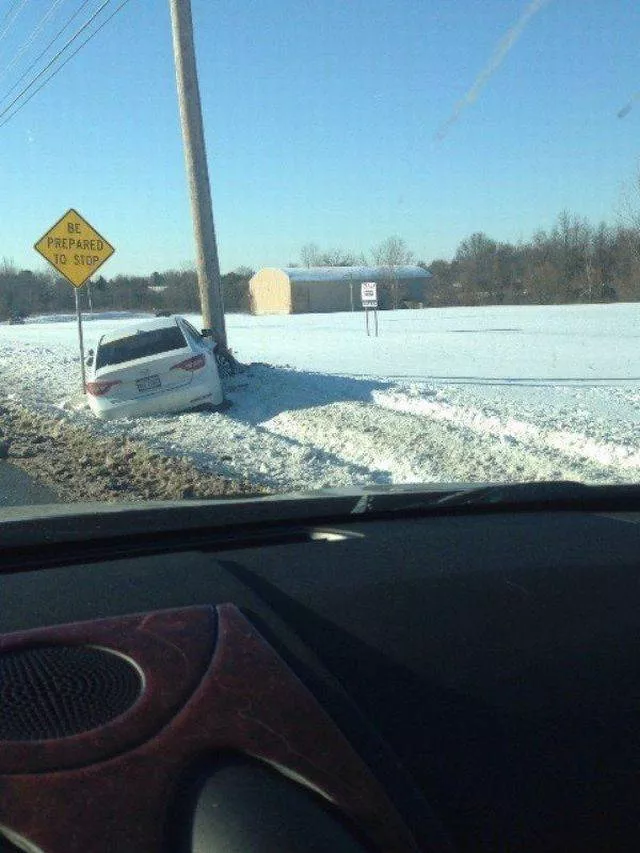 Picdump 239 - #61 