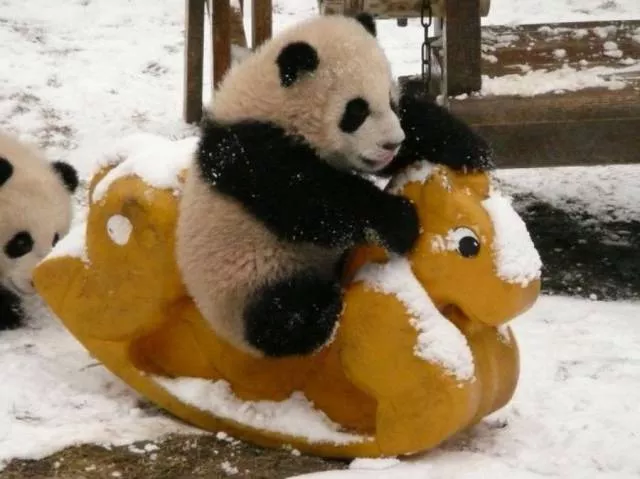 Picdump 239 - #63 