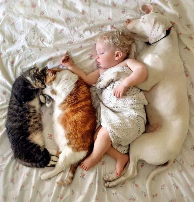 Picdump 239 - #7 