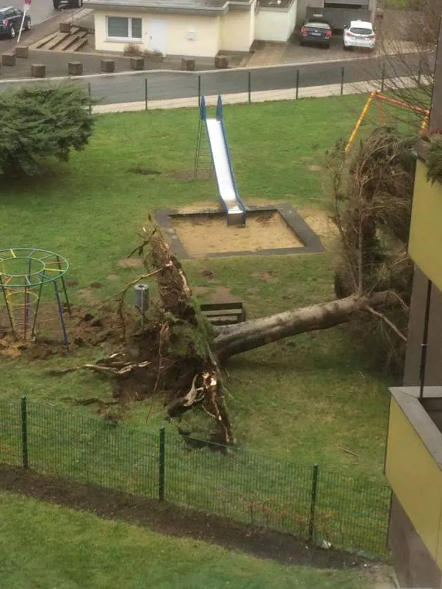 Picdump 239 - #70 