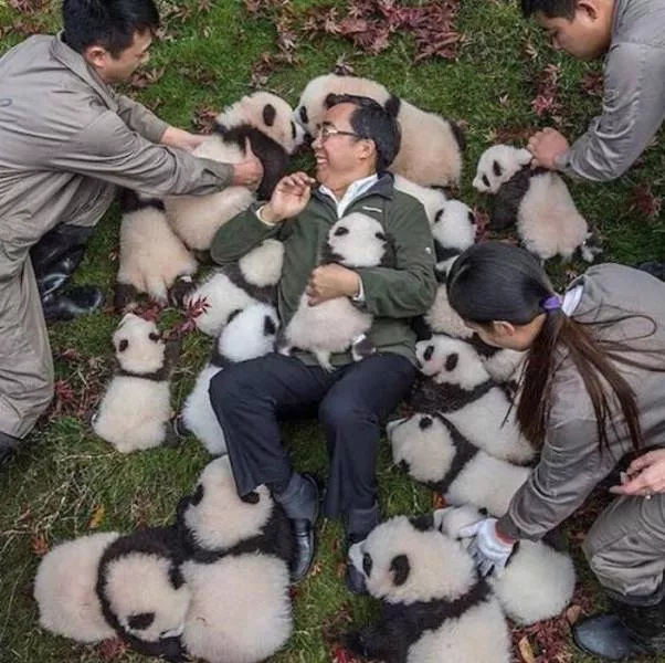 Picdump 239 - #72 