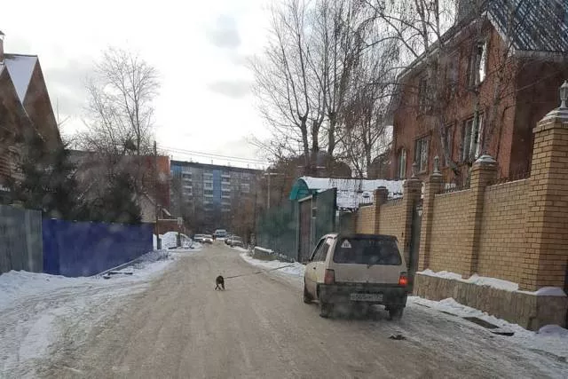 Picdump 239 - #74 