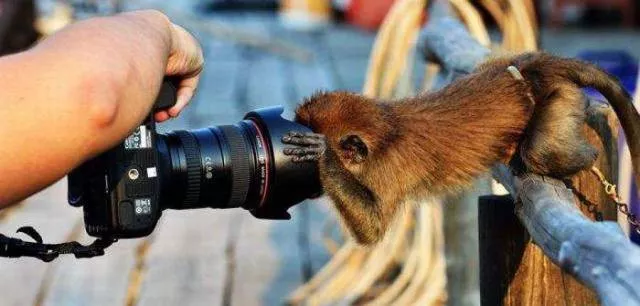Picdump 239 - #75 