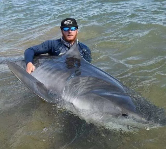 Picdump 239 - #79 