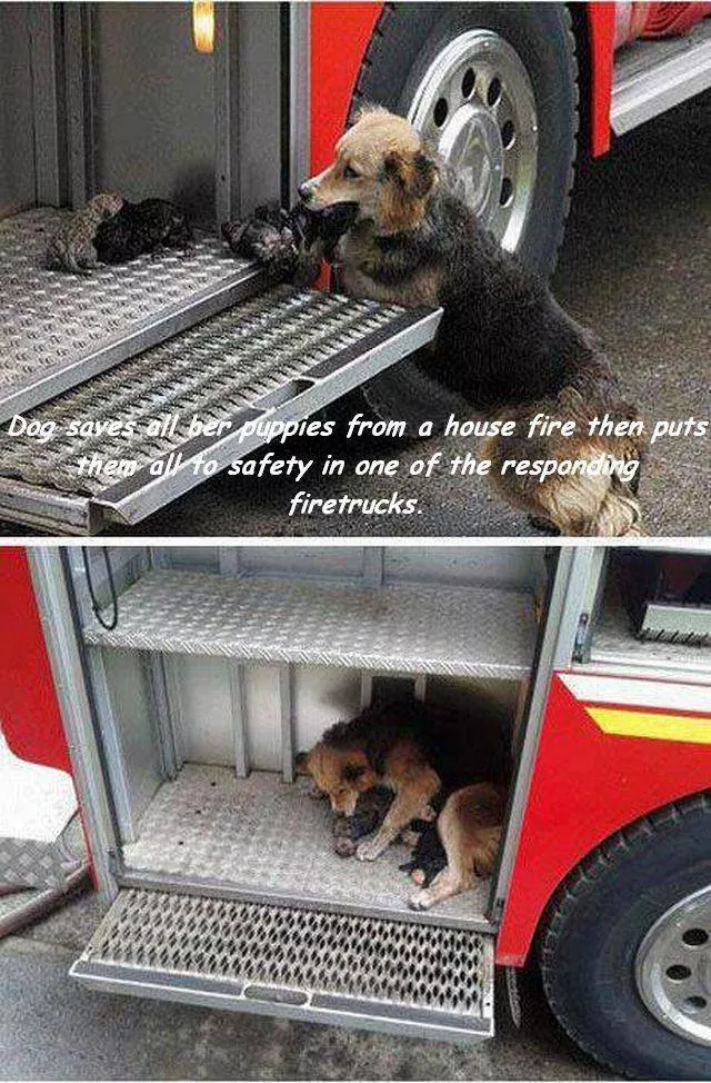 Picdump 239 - #93 