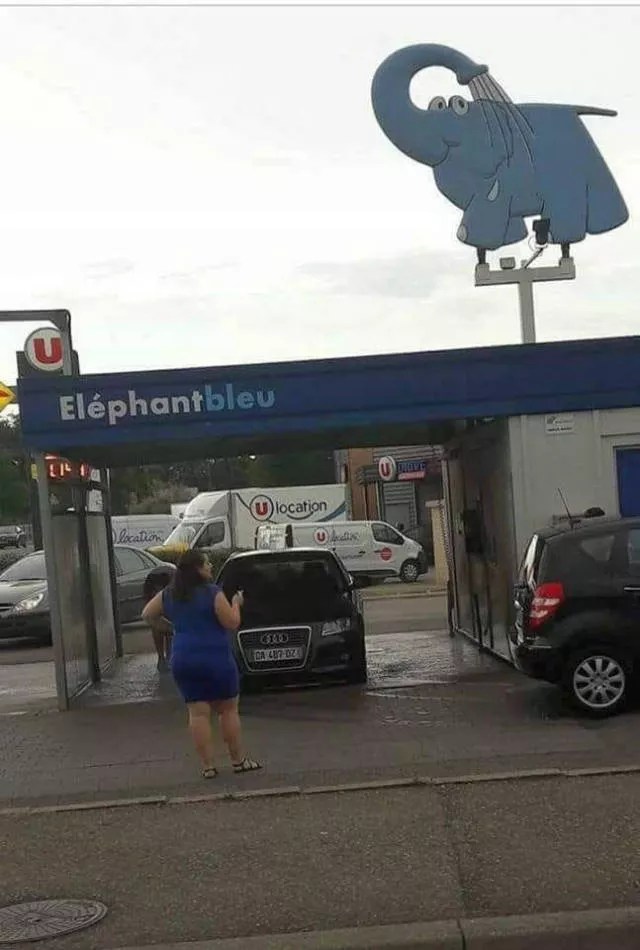 Picdump 240 - #35 