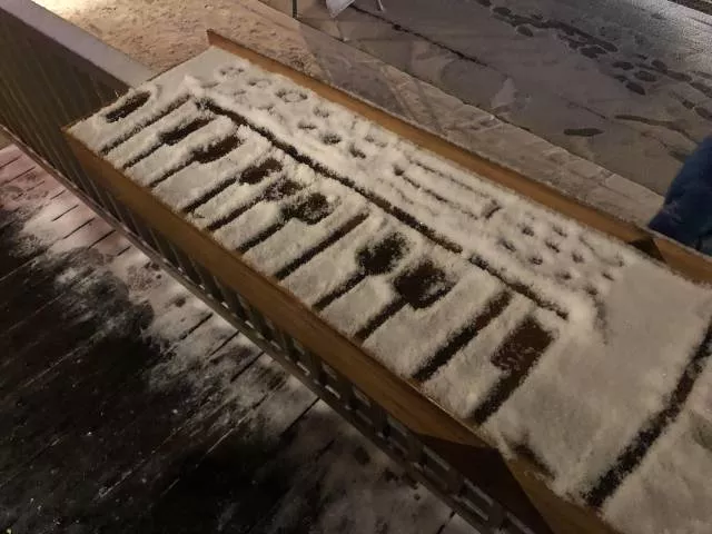 Picdump 241 - #29 