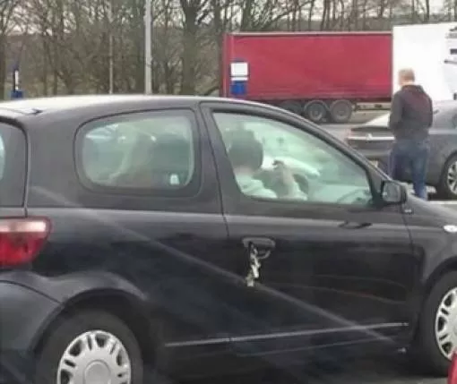 Picdump 241 - #41 