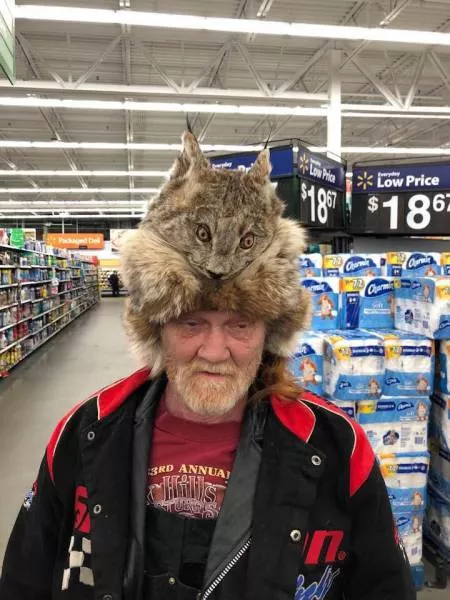 Picdump 241 - #8 