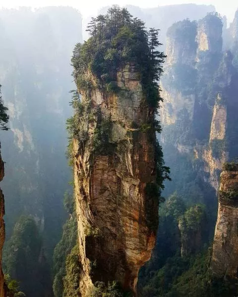 La magie de la nature