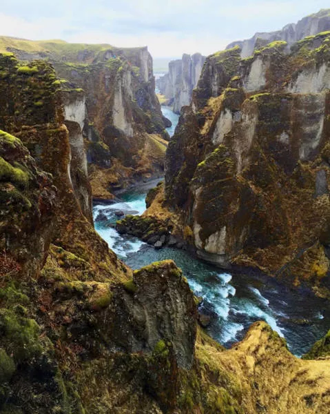 The magic of nature - #7 