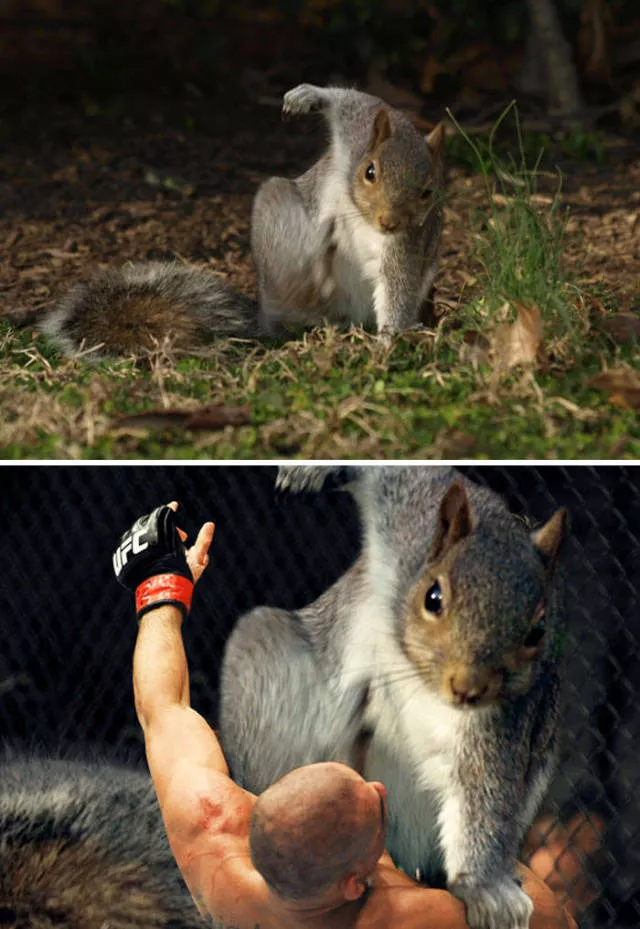 Les plus droles photo montages au monde - #12 