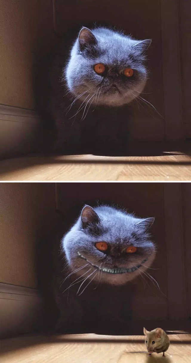 Les plus droles photo montages au monde - #19 