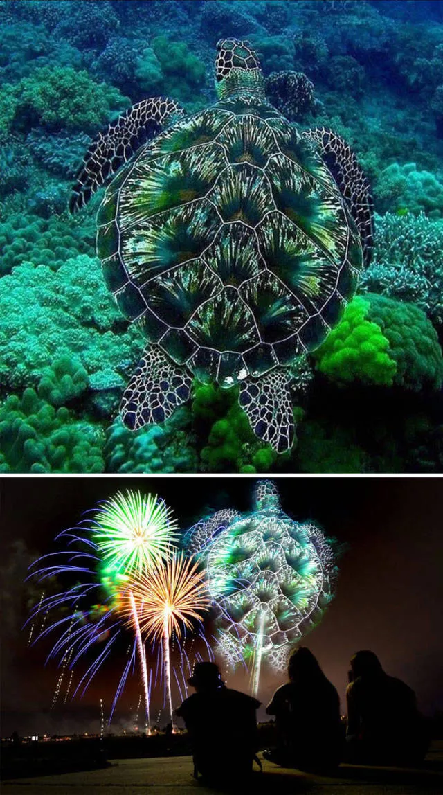 Les plus droles photo montages au monde - #21 Les plus droles photo montages au monde - #21
