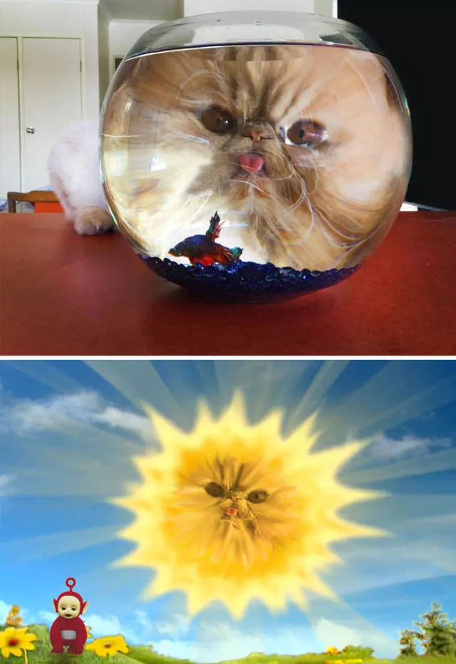 Les plus droles photo montages au monde - #31 Les plus droles photo montages au monde - #31