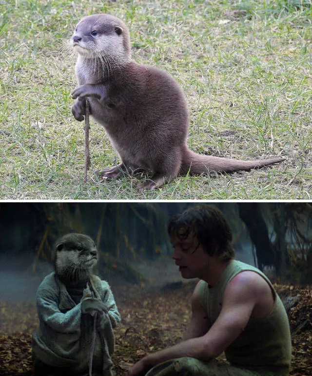Les plus droles photo montages au monde - #36 Les plus droles photo montages au monde - #36