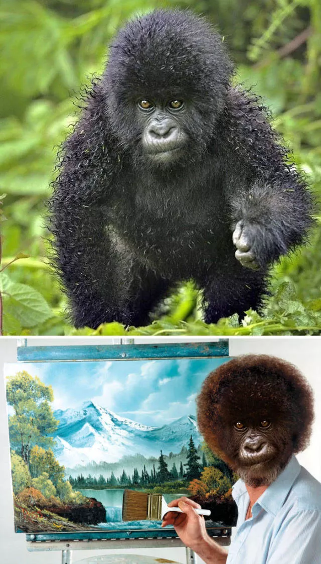 Les plus droles photo montages au monde - #38 Les plus droles photo montages au monde - #38