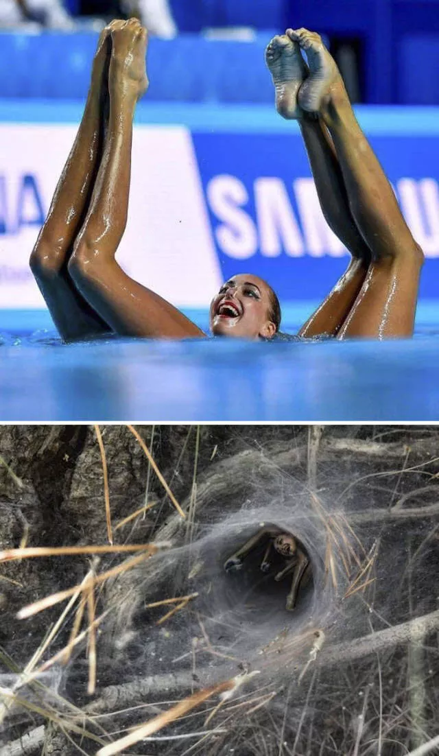 The funniest photo montages in the world - #44 