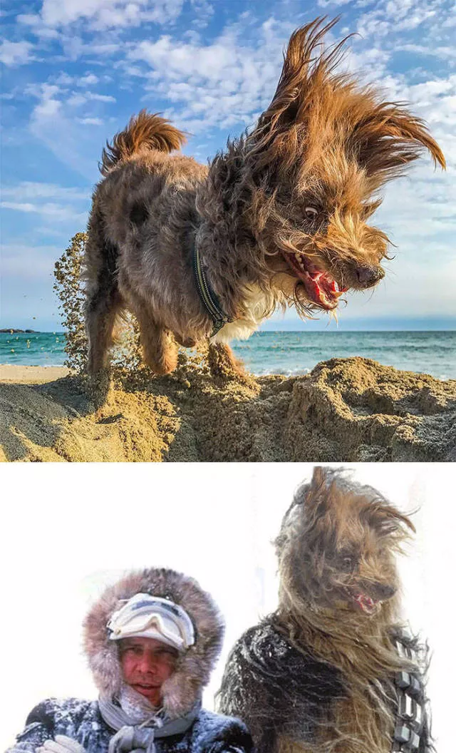 Les plus droles photo montages au monde - #45 