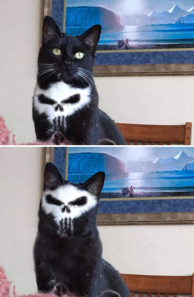 The funniest photo montages in the world - #47 