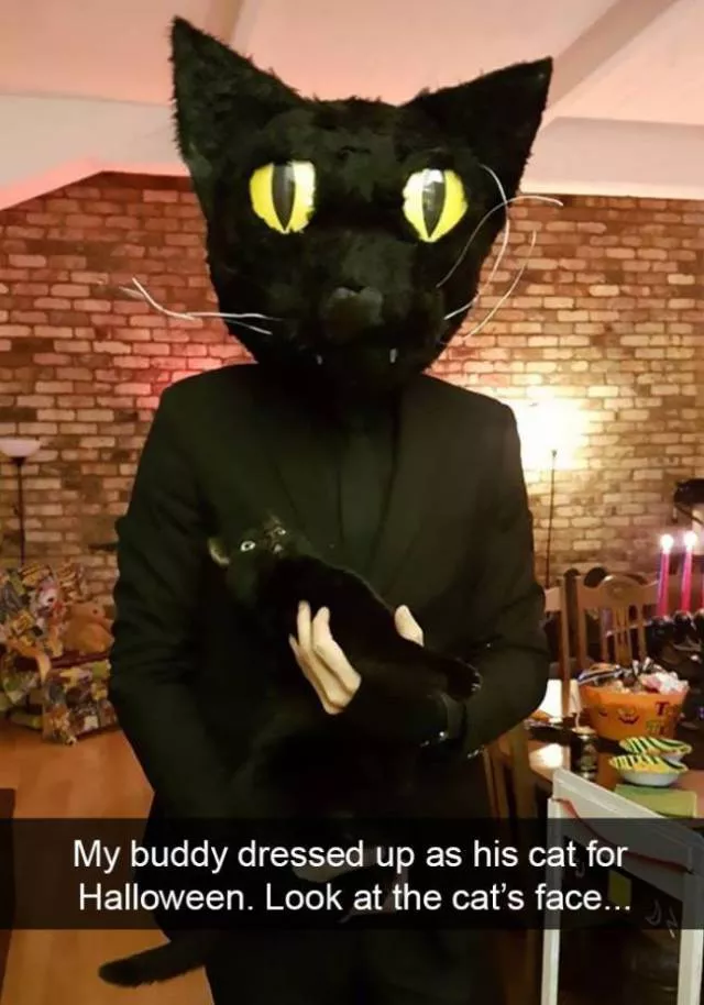 Funniest and hilarious cat snapchats - #12 